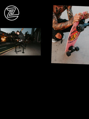 Z-Flex Skateboards® Official Store | Free Shipping On All