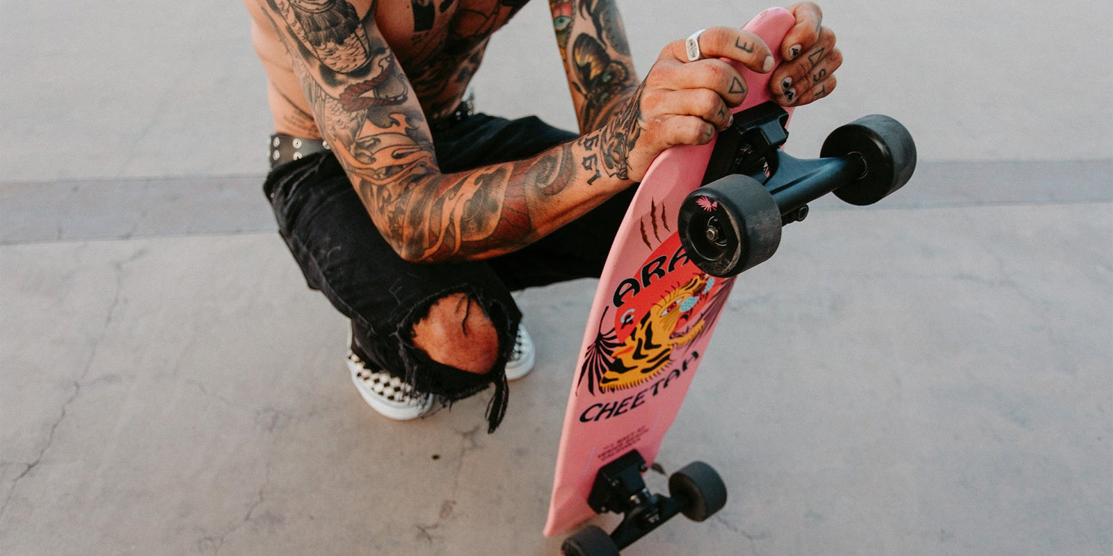 ライオン Aragon Cheetah – Z-Flex Skateboards