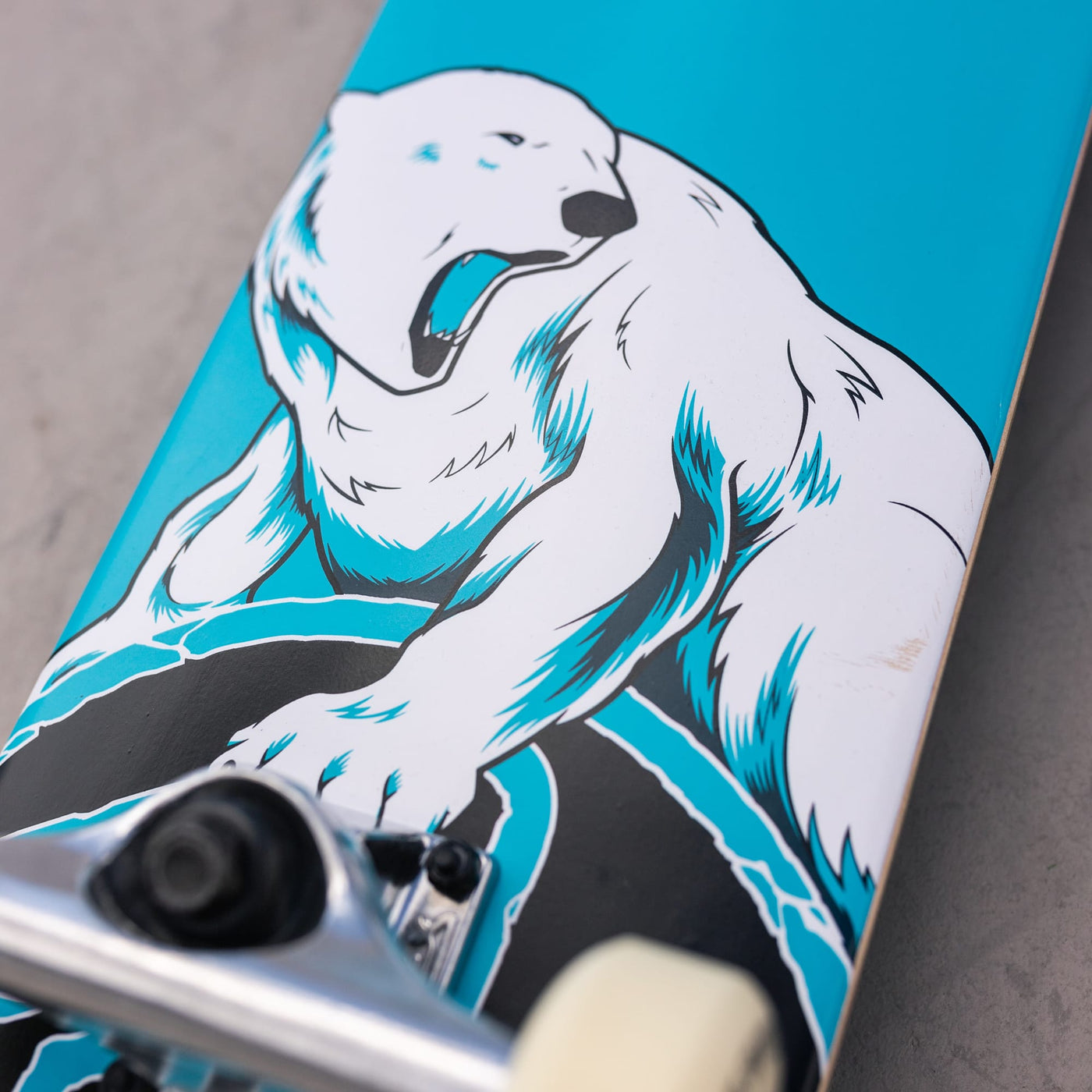 Mini Polar Bear 7.25